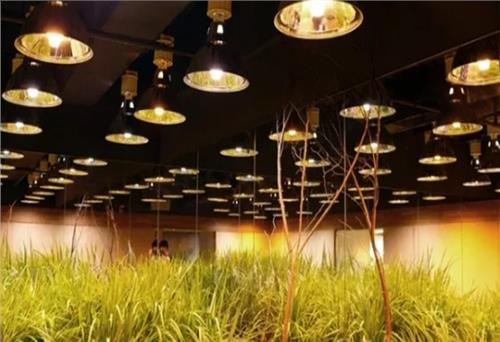 Thiết bị chiếu sáng không cần điện của Việt Nam nộp đơn đăng ký sáng chế tại Mỹ