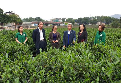 Thúc đẩy phong trào lao động sáng tạo