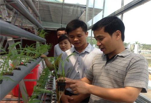 Ứng dụng công nghệ thông tin vào chăm sóc cây trồng