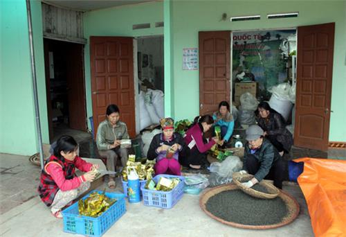 Chú trọng giữ gìn thương hiệu cho sản phẩm chè