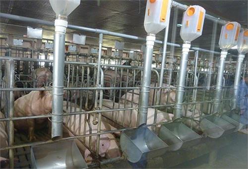 Đầu tư công nghệ vào nông nghiệp