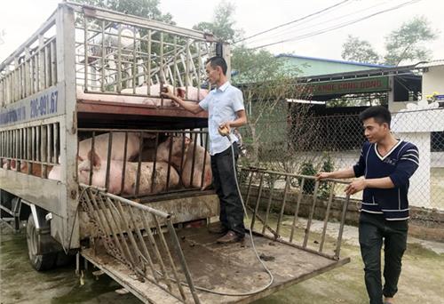  Tâm lý bất an - Người dân nào đâu có sự lựa chọn (Kỳ III)