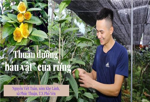 Thuần dưỡng “báu vật” của rừng 