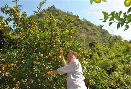 Bắt đất cằn “nở hoa”