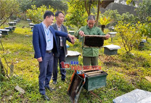 Diện mạo mới của nông thôn An Khánh