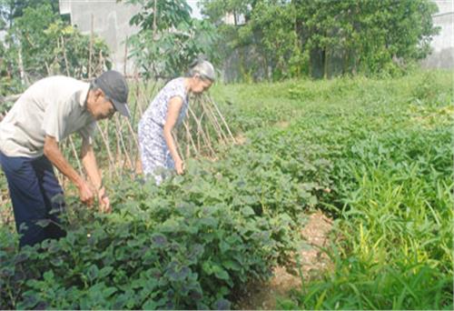 Mỗi người  làm một việc tốt