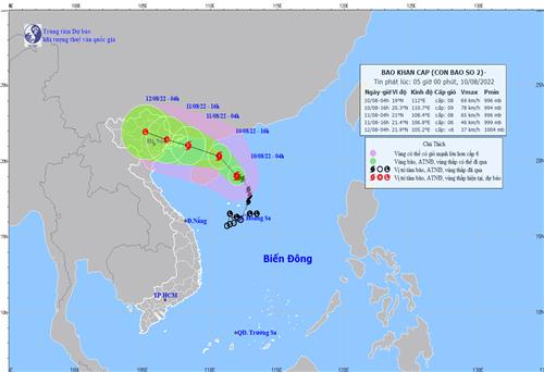 Chủ động triển khai ứng phó bão số 2