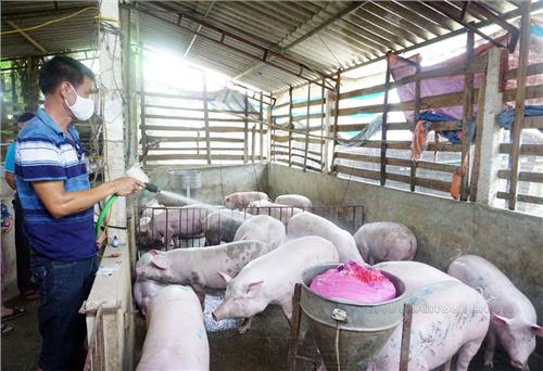 Bảo vệ cây trồng, vật nuôi mùa nắng nóng