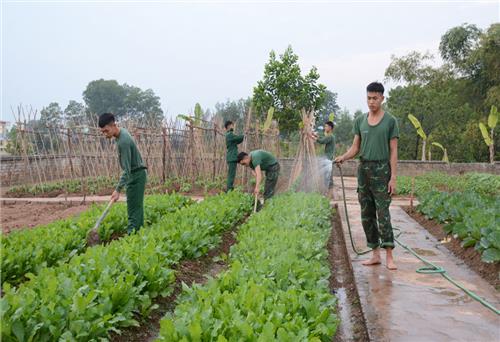 Trưởng thành trong quân ngũ