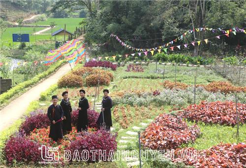 Bỏ phố lên rừng làm du lịch