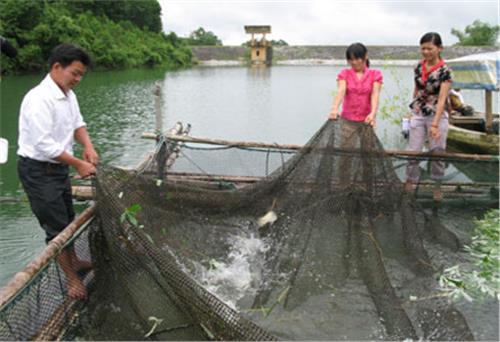 Nhật ký làm theo lời Bác