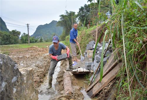 Cải cách hành chính trong hệ thống chính trị 