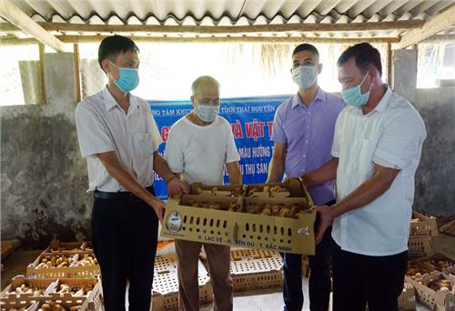 Tạo thêm sinh kế cho người dân vùng khó