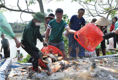 Phú Bình: Đặt mục tiêu có 3 sản phẩm từ cá rô phi đạt OCOP