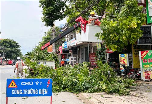 Đại Từ: Cắt tỉa gần 600 cây xanh để đảm bảo an toàn lưới điện