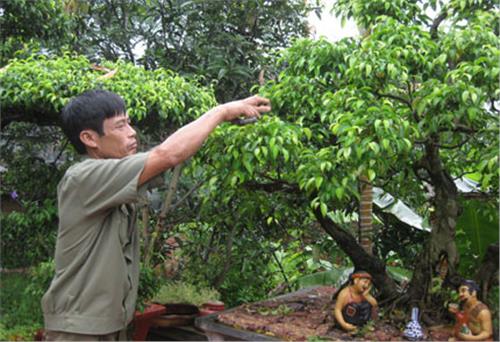 Một trái tim luôn đồng cảm, sẻ chia