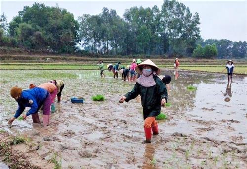 Giúp đỡ hội viên mắc COVID-19 bằng việc làm thiết thực
