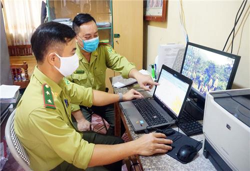 Gần 1 triệu cây xanh được quản lý bằng phần mềm 