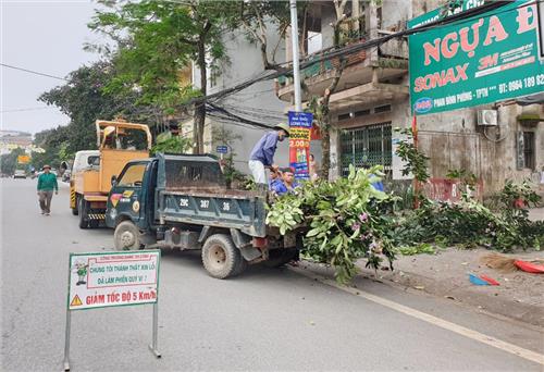 TP. Thái Nguyên: Cắt tỉa gần 200 cây xanh trước mùa mưa