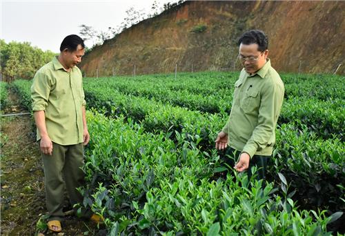 Triển khai nhiều hoạt động thiết thực vì hội viên