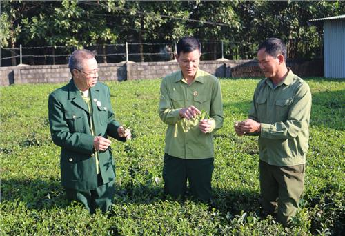 Lính cũ trên mặt trận mới