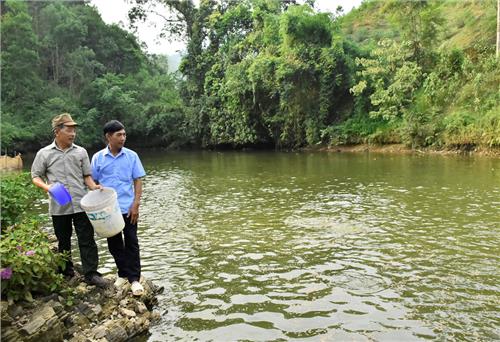 Chuyện làm giàu của một cựu chiến binh