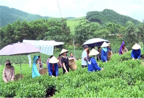 Xây dựng thương hiệu gắn với sản phẩm OCOP