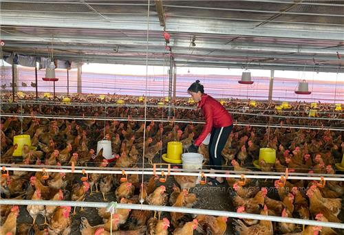 Ham học hỏi ắt thành công
