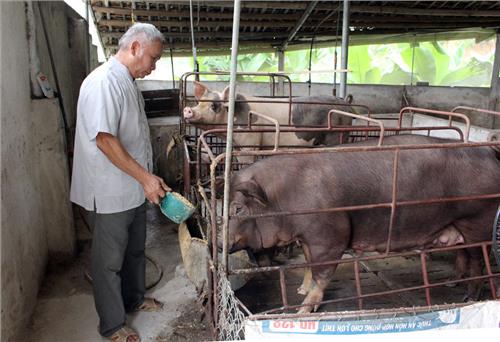 Chủ động phòng, chống dịch bệnh cho đàn vật nuôi