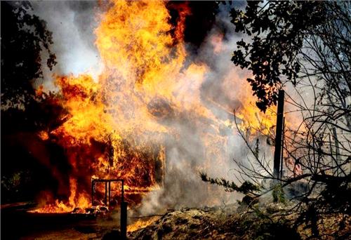 Hàng nghìn héc-ta rừng bị thiêu rụi chỉ trong một ngày tại bang California (Mỹ)