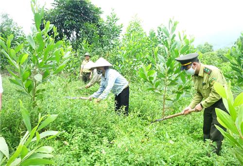 Chủ động ứng phó với “giặc lửa”