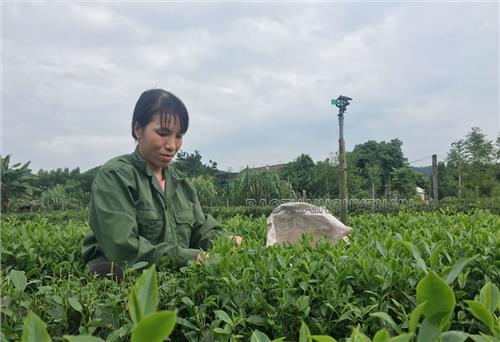 Để người dân thoát nghèo bền vững