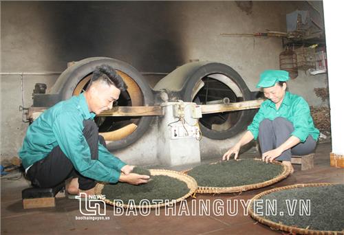 Khi chính sách “vào” cuộc sống