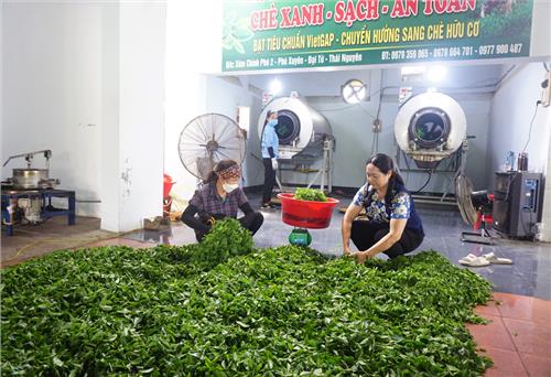 Thái Nguyên: Giá trị sản xuất nông, lâm nghiệp và thủy sản đạt trên 7.810 tỷ đồng