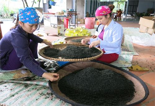 Nhộn nhịp chuẩn bị Festival