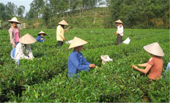 Việc làm mang ý nghĩa lớn