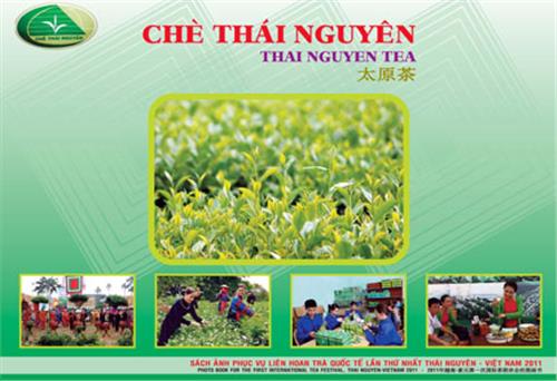 Sách ảnh Chè Thái Nguyên - thông tin phong phú về “đệ nhất danh trà”