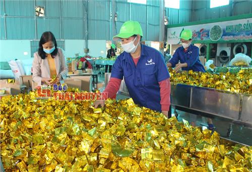 Sản phẩm chè Tết: Đa dạng để “chiều” thị trường