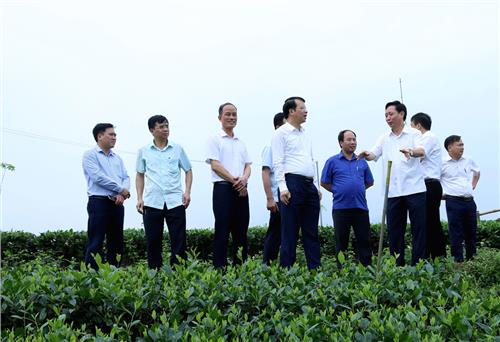 Đẩy mạnh phát triển nông nghiệp, nông thôn mới 