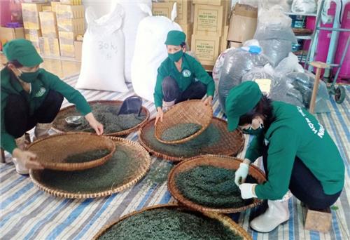 Đại Từ: 9 sản phẩm đủ điều kiện tham gia OCOP cấp tỉnh