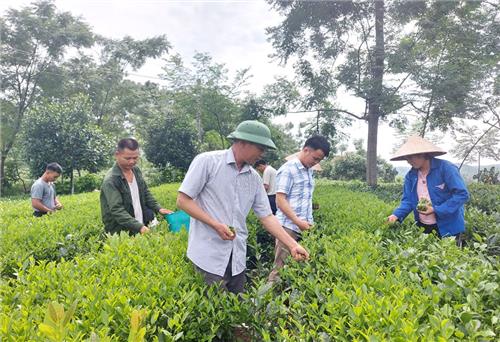 Phú Lương: Phấn đấu hoàn thành tốt chỉ tiêu phát triển kinh tế - xã hội