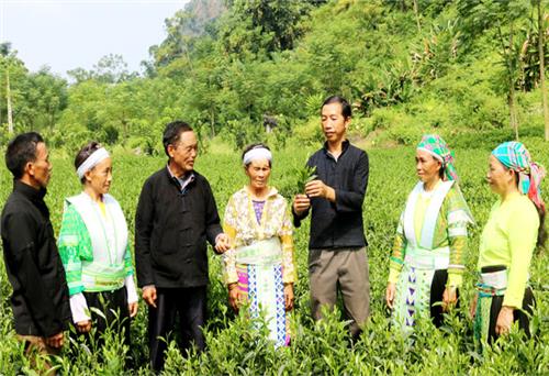 Lời giải cho bài toán giảm nghèo 