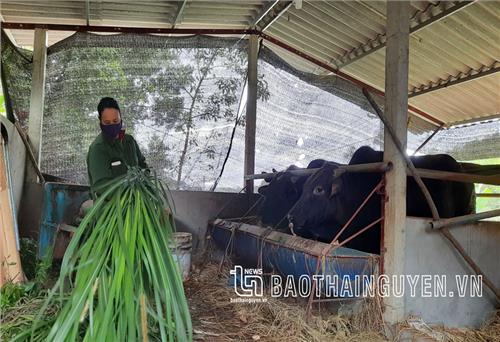 Đổi thay ở Bàn Đạt