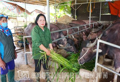 “Đường về” của người phụ nữ hoàn lương