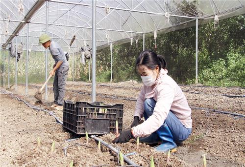 Người nuôi đất cằn nở hoa