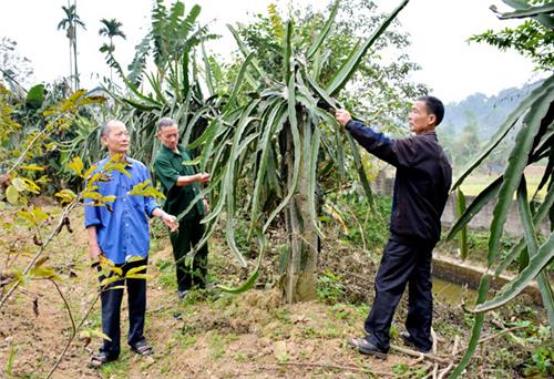 Chi bộ sát thực tiễn, đảng viên tăng trách nhiệm