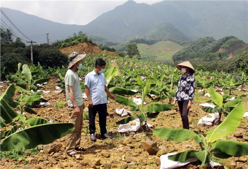 Hiệu quả nhờ lựa chọn cây trồng phù hợp
