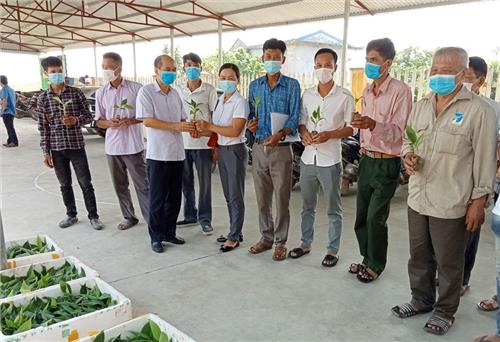 Ra mắt Tổ hợp tác chuối tiêu hồng
