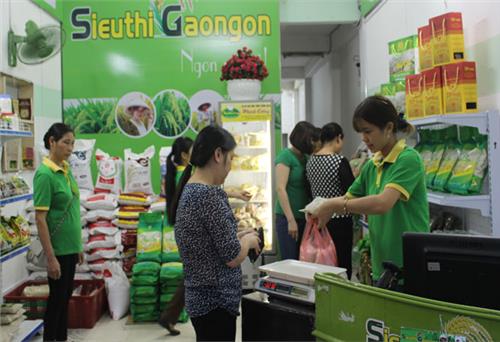 Cung cấp nông sản chất lượng cao tới người tiêu dùng