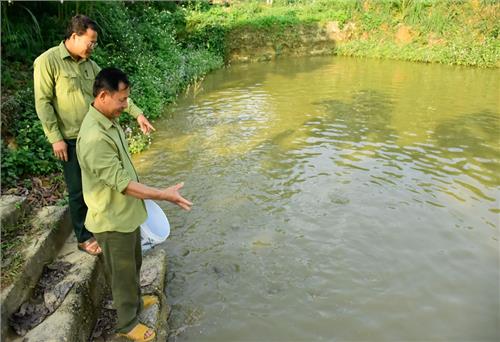 Cựu chiến binh giúp nhau làm kinh tế 